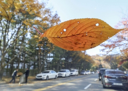 [내일날씨]낮 최고 18도, 포근한 일요일…수도권 등엔 빗방울
