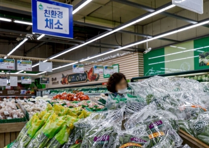 "농산물 여기가 가장 싸요"…내년 하반기 '알뜰 소비 플랫폼' 시범 출시