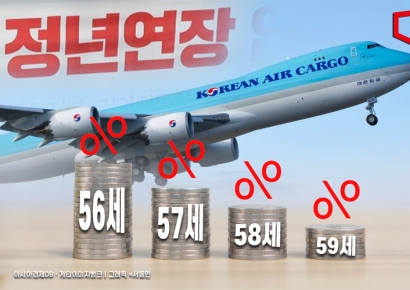 [단독]대법, 대한항공 정년연장형 임금피크제 손배소 기각