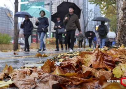 [포토] 가을비에 수북히 쌓인 낙엽