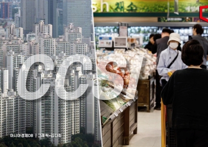 생활물가 오르고 환율 뛰자…소비심리, 계엄사태 이후 최대폭 감소