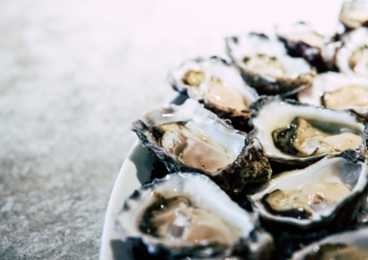 '이건 재앙' 충격에 빠진 일본…'역대급 규모' 폐사에 경고음 켜져