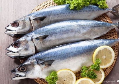 "이러다 밥상에서 사라지겠네"…서민 '울상' 만드는 '피시플레이션'