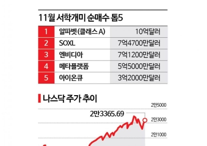 AI 거품론에 서학개미 美주식 보관액 '뚝'…구글은 1조 베팅