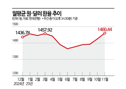 [Why&Next]"서학개미 때문?" 구조적 문제 직면한 환율, 향후 관전 포인트는