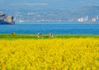 "이게 20만원?"…"이럴거면 일본 가지" 원성 터지자 칼 빼든 제주