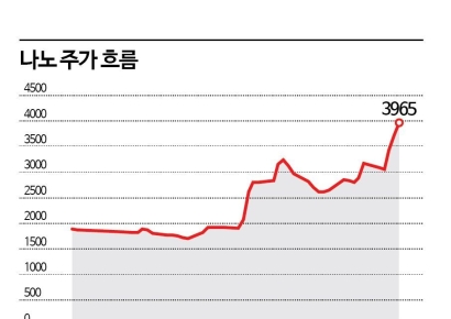 나노, AI 데이터센터 수혜 기대로 신고가