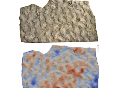 '귀한 물건인데 아뿔싸'…닭발 모양 찍힌 디딤돌 '놀라운 정체'