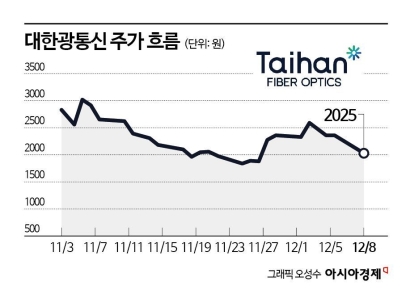 대한광통신, 성장 가속패달 밟을 자금 조달 나서