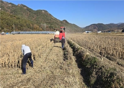 최우수 콩 생산단지 '서순창농협' 선정…"정부 수매 의존도 낮아"