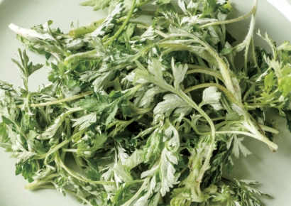 한국에선 아무데서나 '쑥쑥' 자라는 흔한 잡초인데…중국·일본에선 '귀한 몸'