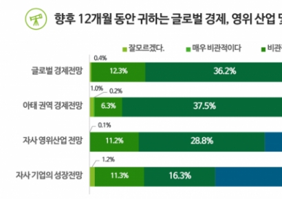 "세계 CEO 28%만 내년 경제 낙관…韓 CEO는 51.5%"