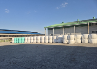 고품질 韓 조사료 키워 사료비·수입의존도↓ [농업 바꾼 FTA]②