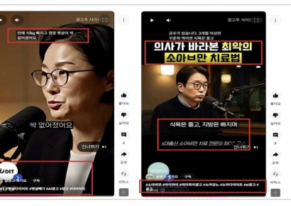 정부, AI 가짜의사 허위 광고 막는다…'AI 생성물 표시제' 도입