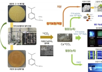 '골칫덩이' 중수로 폐기물이 1조원 자원으로…韓, 세계 첫 상용화 성공[과학을읽다]