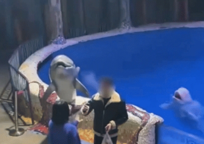 "담배 꺼주세요" 직원 말 무시하자…물속에서 튀어나와 응징