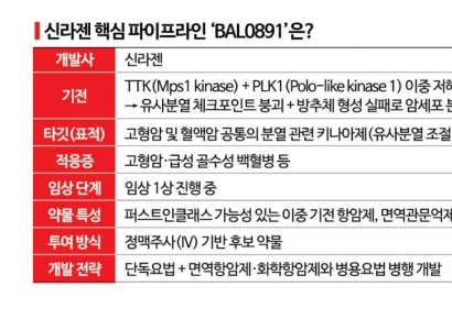 "빌드업은 끝났다"…신라젠의 내년은 반격의 시간