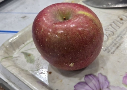 멀쩡한 사과 보더니 "이건 썩은 거예요" 장담…진짜 잘라보니 '휘둥그레' 비결은?[농업 바꾼 FTA]③