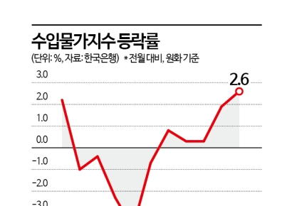 수입물가 상승률, 1년7개월來 최고치…고환율 영향