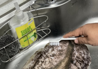 "너무 리얼해서 비린내 나겠다"…완도 기부 답례품 전복쿠션 화제 