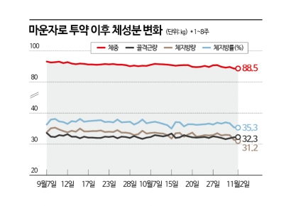 [마운자로 리포트]④운동과 함께 되찾은 다이어트 리듬