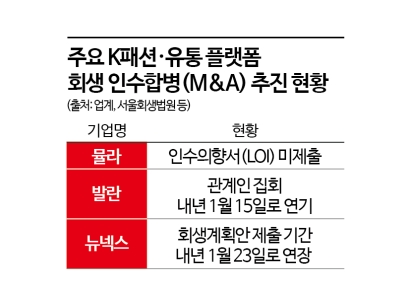 뮬라·뉴넥스·발란 등 회생 난항 장기화…연내 M&A '불투명'