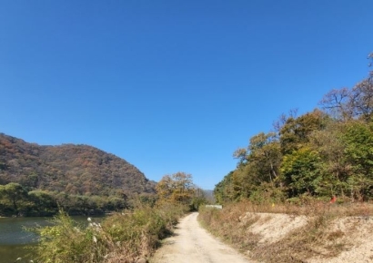 "1400만원 시골땅 17억원에 삽니다"…117배 투자한 이유는? [부동산AtoZ]