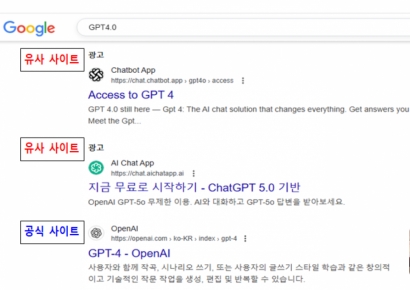 3만9000원 결제했는데 엉뚱한 답변하는 '제미나이'…알고보니 '짝퉁'