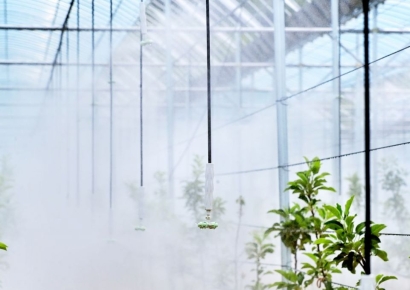 청송 사과밭에 ‘AI 바람’… 스마트과수원 특화단지 국비 30억원 확보