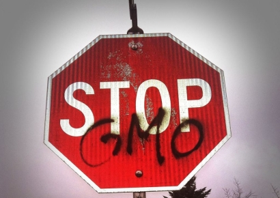 식탁 물가에 공급망까지 흔든다…GMO 규제의 역설