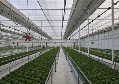 "'대기업보다 낫네?' 말 나온 이유"…3억4000만원 지원으로 완성한 스마트팜[농업 바꾼 FTA]⑥