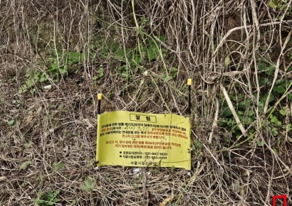 수북한 잡초에 무너진 봉분, 낡은 상석만…"고인 아시는 분 없나요?"[2025 무연고사 리포트⑭]