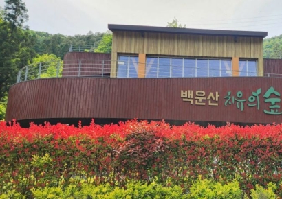 겨울 숲에서 만나는 따뜻한 힐링 '백운산자연휴양림'