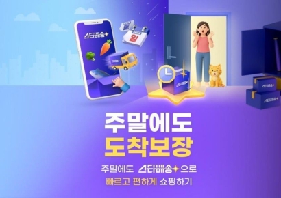 "때를 놓치지 말자, 탈팡 특수"…눈 돌아가는 특가전 축제, '고객 모시기' 불 붙었다