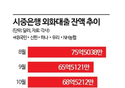고환율 지속에 은행도 비상…"외화대출 확대·연말 결산에 부담"