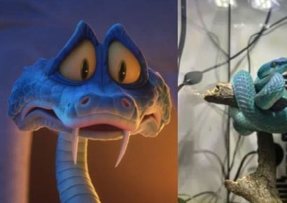 "애완 뱀 키우려다 손가락 절단"…'주토피아2' 흥행, 때아닌 부작용 속출