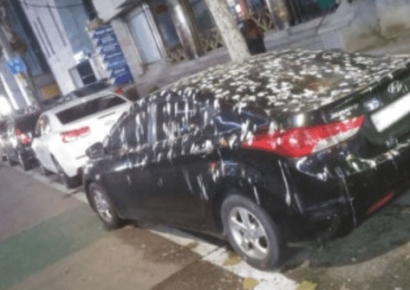 "왜 저 차만 눈이 덮였지?" 가까이 가 보니 '하얀 똥' 범벅…범인의 정체는