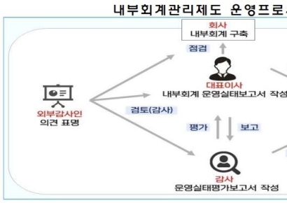 내부회계관리제도 위반 14건 적발…"법규 오인 이어져"