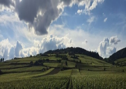 [아경와인셀라]"첫 모금보다 황홀한 막잔"… 포마르의 느린 피노 누아