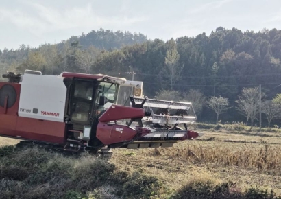 강진군, 전략작물직불금 45억 지급…논 타작물 재배 농가 지원
