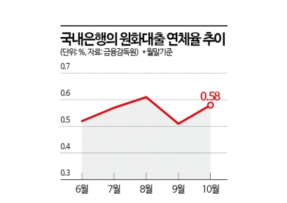 10월 은행대출 연체율 0.58%…전월比 0.07%p↑
