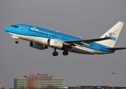 비행기 탔다가 빈대에 물린 가족…항공사들 상대로 "3억 물어내라" 소송