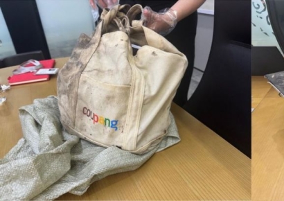 쿠팡 "정부 지시로 조사 진행…유출자 자백 받고 기기 회수"(종합)