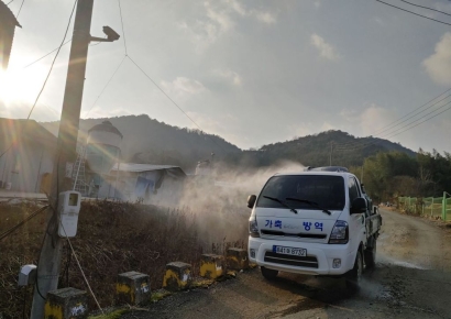 "심상치 않네~"…영암 오리농장서 또 조류인플루엔자 항원 확인
