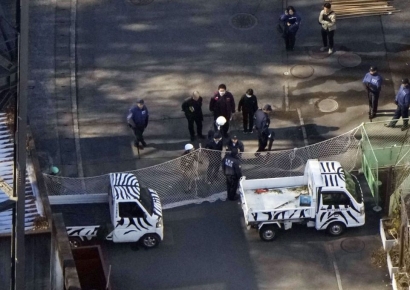 일본 동물원서 늑대 한마리 탈주…5시간만에 포획