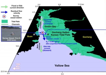 "갯벌 물색만 봐도 안다"… KIOST, 서해안 갯벌 탁도-부유물질 농도 상관관계 밝혀