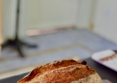 씨드앤씨드, 안성에 발효빵 전문 매장 오픈…'고대곡물 사각 발효빵' 출시