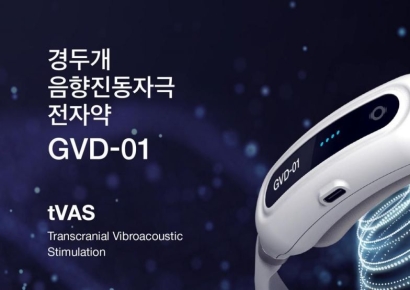 아리바이오, 신의료기술평가 지원 대상 기술 선정…치매 전자약 'GVD-01' 상용화 속도