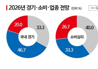 "환율리스크 발목"…유통사 CEO 10명 중 8명 "내년 내수 회복 어렵다"