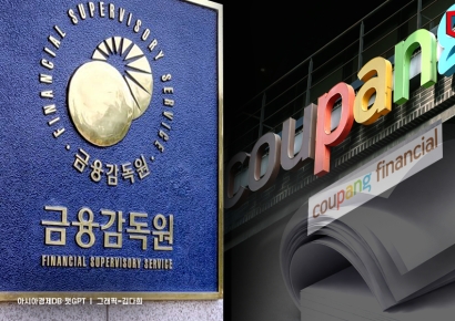 쿠팡 고금리 대출장사 금감원 '검사' 전환 내부검토… 쿠팡페이도 점검기한 재연장